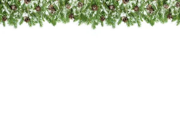 Fundo Natal Com Neve Cones Isolados Branco — Fotografia de Stock