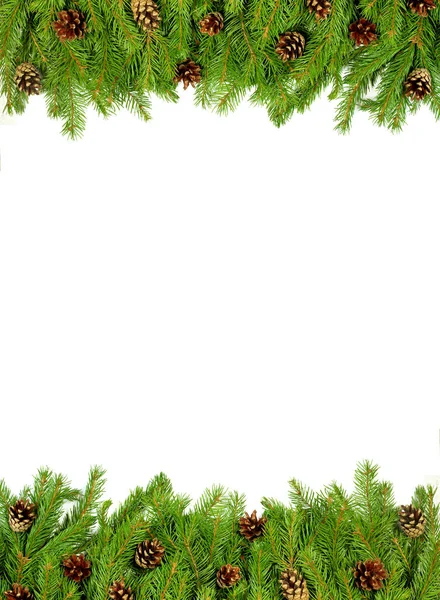 Boże Narodzenie Tło Szyszki Izolowane Białym — Zdjęcie stockowe