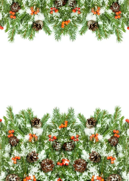 Weihnachten Hintergrund Mit Schnee Zapfen Und Stechpalme Isoliert Auf Weiß — Stockfoto