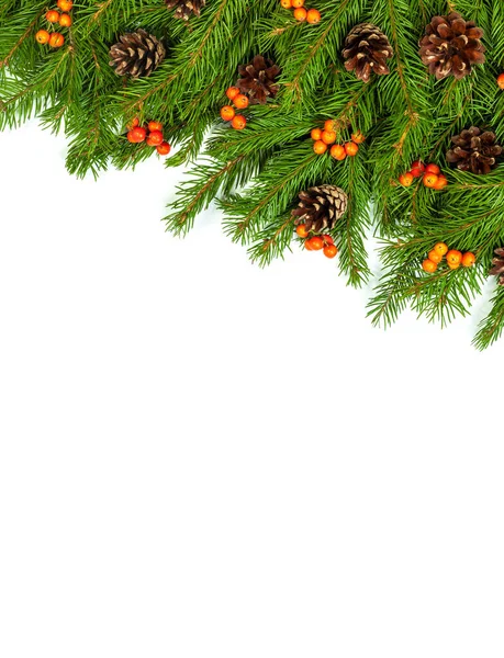 Beyaz Arka Planda Koni Kutsal Böğürtlenli Noel Yeşil Çerçevesi — Stok fotoğraf