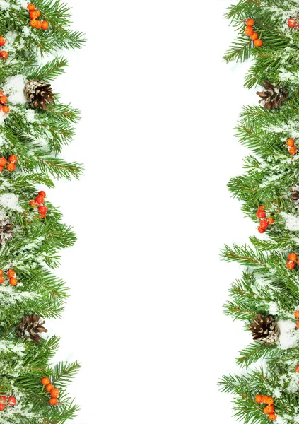 Рождественский Фон Снегом Шишками Ягодами Изолированными Белом — стоковое фото