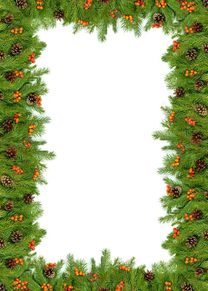 Kerst Groen Kader Met Kegels Hulst Bes Geïsoleerd Witte Achtergrond — Stockfoto