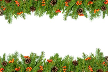 Beyaz arka planda koni ve kutsal böğürtlenli Noel yeşil çerçevesi