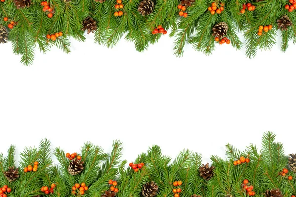 Christmas Green Framework Szyszki Jagody Ostrokrzewu Izolowane Białym Tle — Zdjęcie stockowe