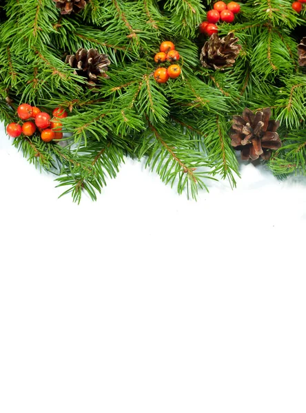 Weihnachten Grüne Rahmen Mit Zapfen Und Stechpalme Isoliert Auf Weißem — Stockfoto