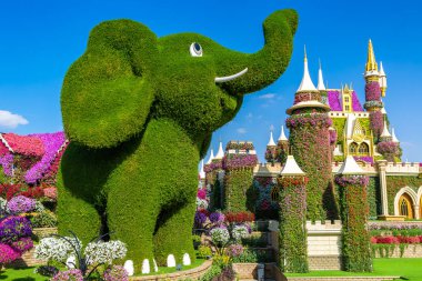 DUBAI, UNITED ARAB EMIRATES - MARCH 29, 2020: Dubai miracle garden in a sunny day , United Arab Emirates clipart