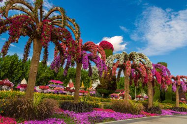 DUBAI, BİRLİK ARAB EMIRATES - 29 Mart 2020: Güneşli bir günde Dubai Mucize Bahçesi, Birleşik Arap Emirlikleri