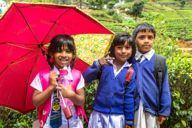 NUWARA ELIYA, SRI LANKA - 15 Şubat 2020: Nuwara Eliya, Sri Lanka 'daki çay tarlalarındaki kız ve erkek öğrenciler