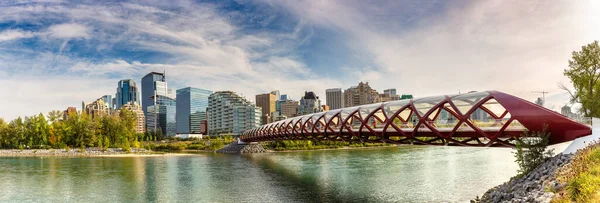 Calgary Canada April 2020 Panorama Peace Bridge Bow River Calgary — 图库照片