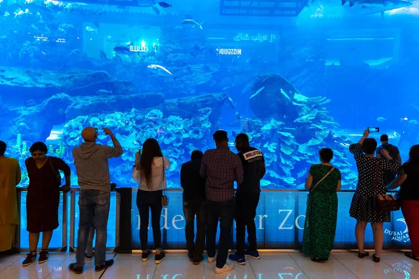 美国迪拜 2019年4月5日 迪拜大型水族馆 阿拉伯联合酋长国迪拜世界最大的购物中心 — 图库照片