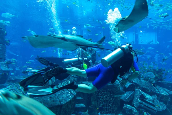 Dubai Uae April 2020 Scuba Diver Lost Chambers Large Aquarium — Stock Photo, Image