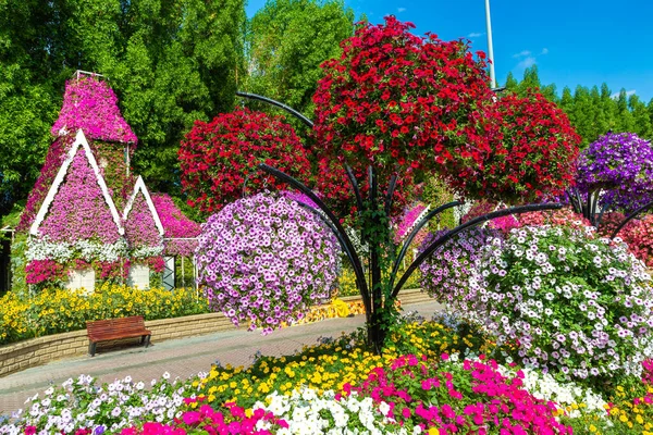 阿拉伯联合酋长国迪拜 2020年3月29日 阳光灿烂的迪拜奇迹花园 — 图库照片