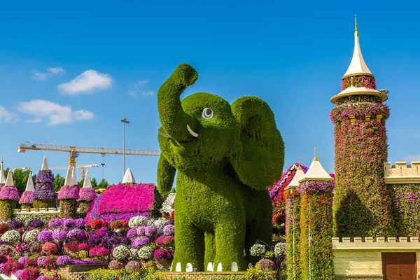 stock image DUBAI, UNITED ARAB EMIRATES - MARCH 29, 2020: Dubai miracle garden in a sunny day , United Arab Emirates