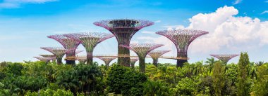 SINGAPORE - 23 Haziran 2019: Yaz günü Singapur Körfezi kıyısındaki Gardens 'taki Supertree Grove ve ve Skyway Panoraması
