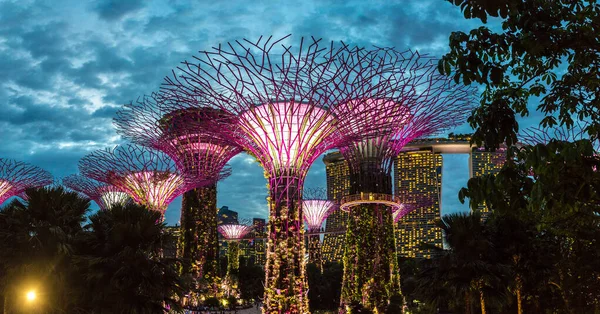 Singapur Singapur Febrero 2020 Panorama Jardines Junto Bahía Marina Bay —  Fotos de Stock