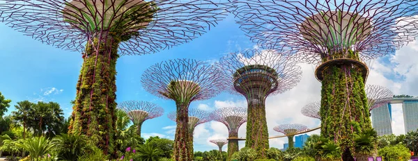 Singapur Juni 2019 Skyway Panorama Gardens Bay Singapur — Stockfoto