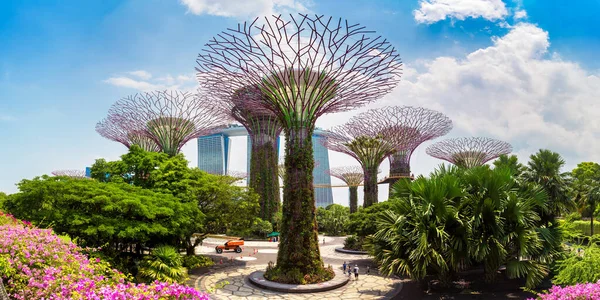 Singapore Junho 2019 Panorama Dos Jardins Junto Baía Marina Bay — Fotografia de Stock
