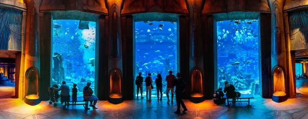 ドバイ アラブ首長国連邦 2018年6月26日 失われた部屋のパノラマ アラブ首長国連邦のドバイにあるホテルアトランティスの大きな水族館 — ストック写真
