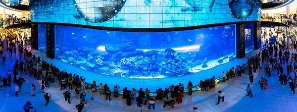 ドバイ アラブ首長国連邦 エイプリル社2020年5月5日 ドバイ最大のショッピングモールであるドバイモールにある巨大な水族館のパノラマ — ストック写真