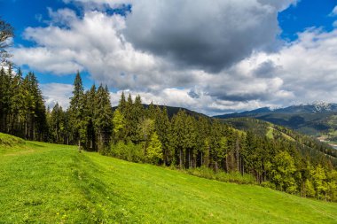 Karpat Dağları güzel yaz gün, Bukovel, Ukrayna
