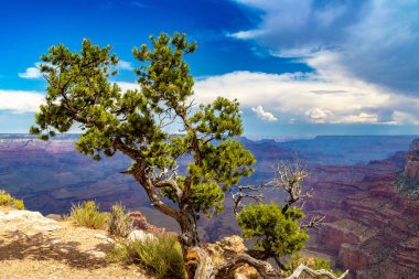 Güneşli bir günde Büyük Kanyon Ulusal Parkı, Arizona, ABD