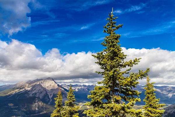 Panoramatický Pohled Bow Valley Národním Parku Banff Canadian Rockies — Stock fotografie