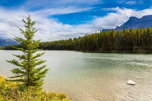 Johnson Lake Taman Nasional Banff Kanada — Stok Foto