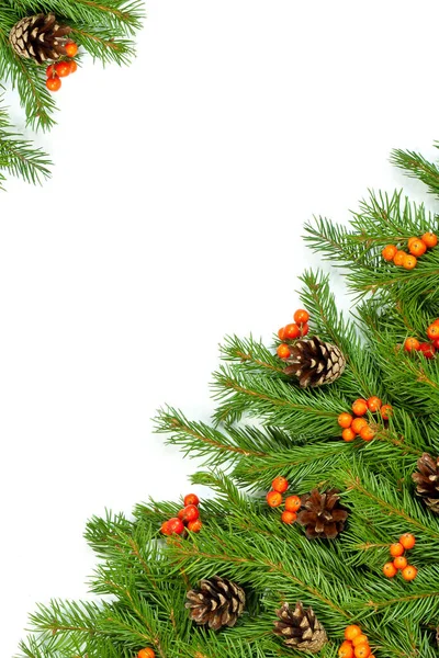 白い背景で隔離されたコーンとホリーベリーとクリスマスグリーンの枠組み — ストック写真