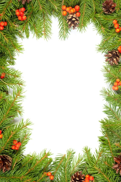Christmas Green Framework Szyszki Jagody Ostrokrzewu Izolowane Białym Tle — Zdjęcie stockowe