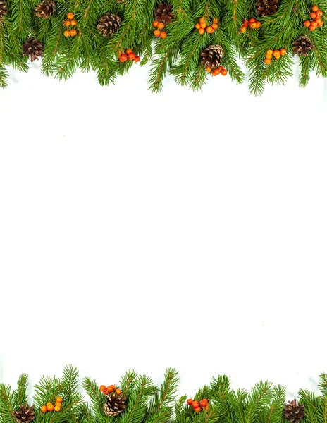 Beyaz Arka Planda Koni Kutsal Böğürtlenli Noel Yeşil Çerçevesi — Stok fotoğraf