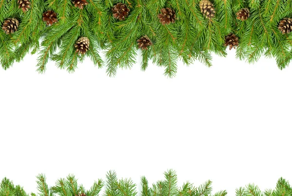 Kerst Achtergrond Met Kegels Geïsoleerd Wit — Stockfoto