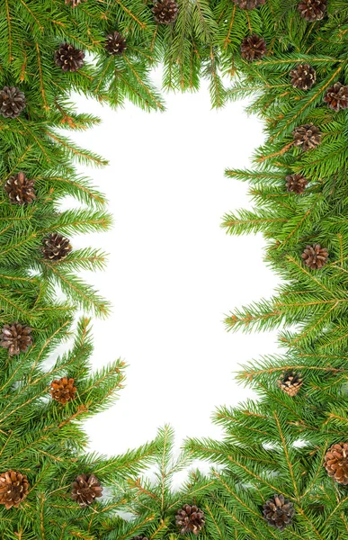 Weihnachten Hintergrund Mit Zapfen Isoliert Auf Weiß — Stockfoto