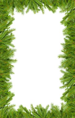 Beyaz arkaplanda izole edilmiş Noel yeşili çerçeve