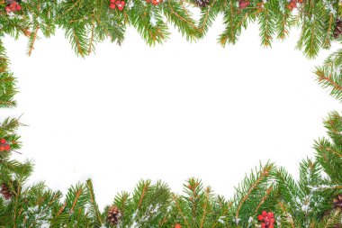 Kar, koni ve kutsal böğürtlenli Noel arkaplanı beyaz üzerine izole