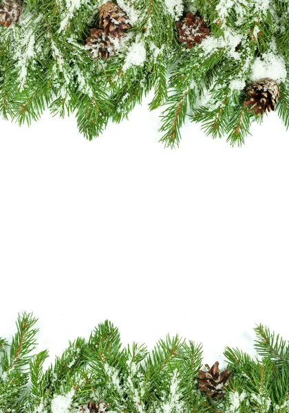 Fondo Navidad Con Nieve Conos Aislados Blanco —  Fotos de Stock