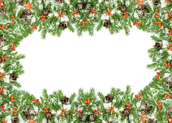 Kerst Achtergrond Met Sneeuw Kegels Hulst Bes Geïsoleerd Wit — Stockfoto