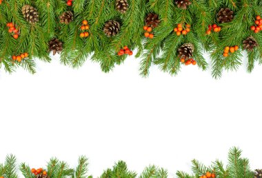 Beyaz arka planda koni ve kutsal böğürtlenli Noel yeşil çerçevesi