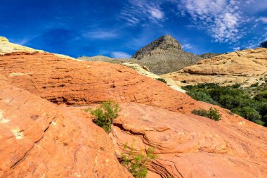 Las Vegas, Nevada yakınlarındaki Red Rock Kanyonu Ulusal Koruma Alanı, ABD