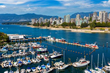 Vancouver, Kanada 'da güneşli bir günde Sahte Derenin panoramik hava görüntüsü