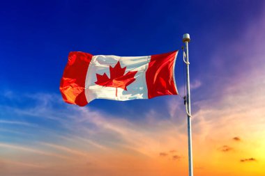 Kanada bayrağı güneşli bir günde mavi gökyüzüne karşı dalgalanıyor, Kanada