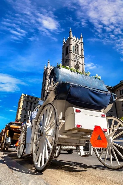 Wóz Konny Pobliżu Bazyliki Notre Dame Montrealu Słoneczny Dzień Quebec — Zdjęcie stockowe