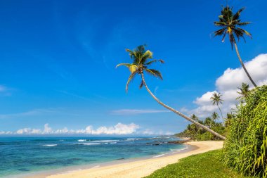 Sri Lanka 'da güneşli bir günde kumsal