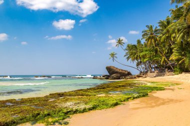 Sri Lanka 'da güneşli bir günde Dalawella Sahili' nde kayalar ve palmiye ağaçları