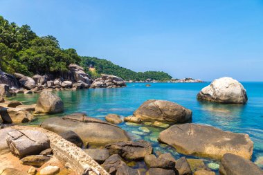 Güzel Ao Hin Wong Sahili Koh Tao Adası, Tayland
