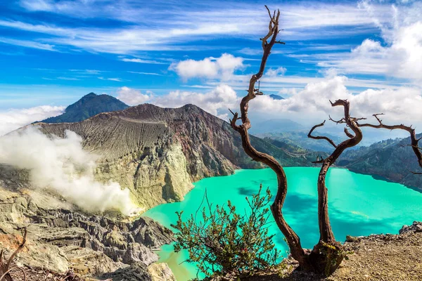 Panoramic Aerial View Crater Active Volcano Ijen Dead Tree Java — Stock Photo, Image