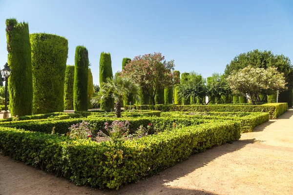 Κήποι Κατά Alcazar Los Cristianos Reyes Κόρδοβα Μια Όμορφη Καλοκαιρινή — Φωτογραφία Αρχείου