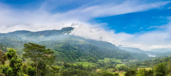 Panorama Nature Landscape Ella Summer Day Sri Lanka — Stock Photo, Image