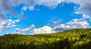 Karpatlar dağ orman içinde bir güzel yaz gün, Ukrayna Panoraması