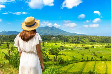 Endonezya, Bali 'deki Pirinç tarlası panoramik manzaralı kadın gezgin güneşli bir günde