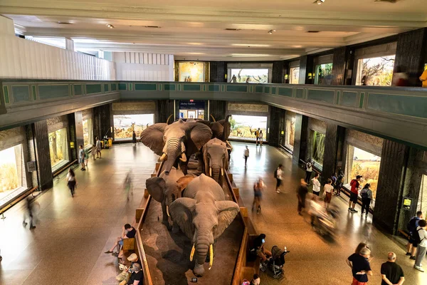 Nova Iorque Cidade Eua Março 2020 Elefante Museu Americano História — Fotografia de Stock